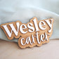 Hospital Name Announcement, Baby shower gift, Hospital plaque, Baby name sign,Name Announcement, Mini Baby Name Sign, Hello My Name Is